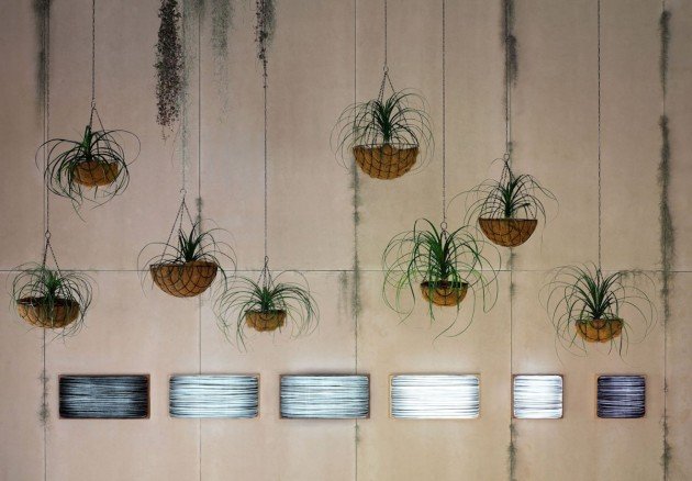 Edmondo Testaguzza�ƾ���ƣ�Dharma